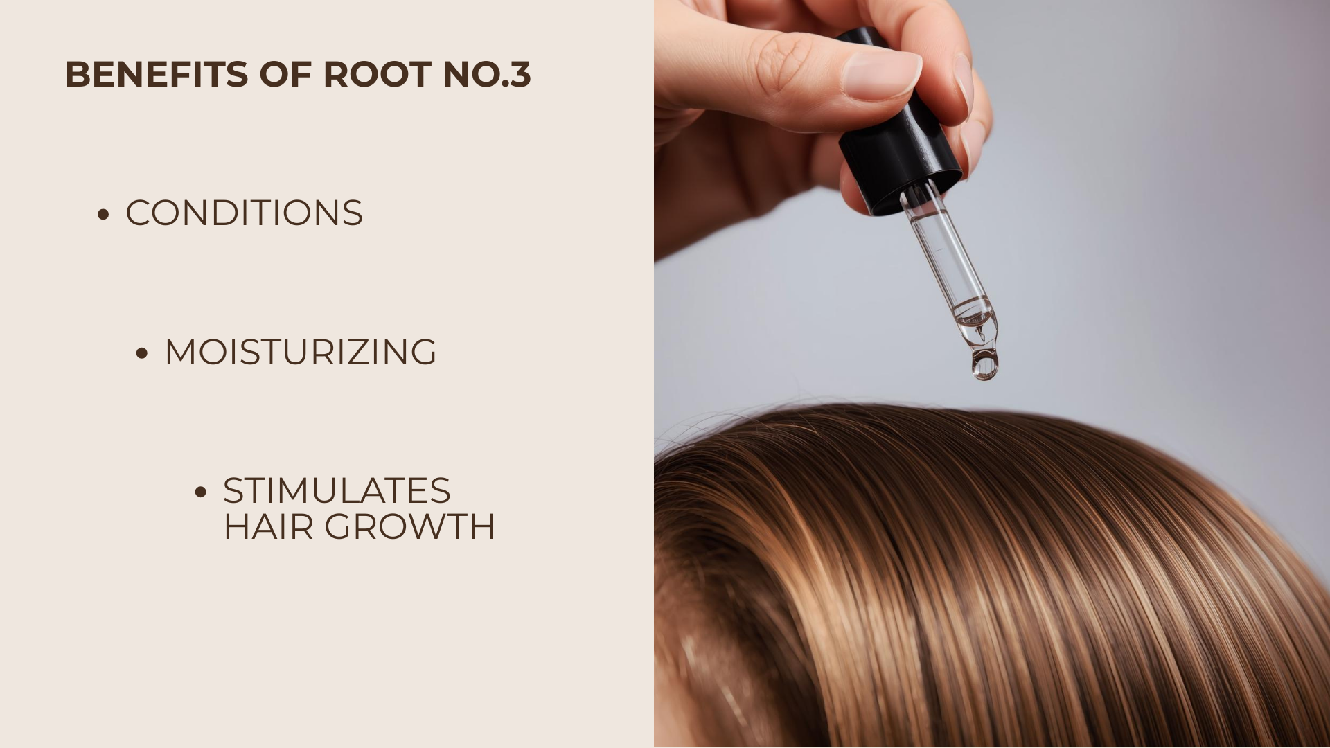 Root No.3